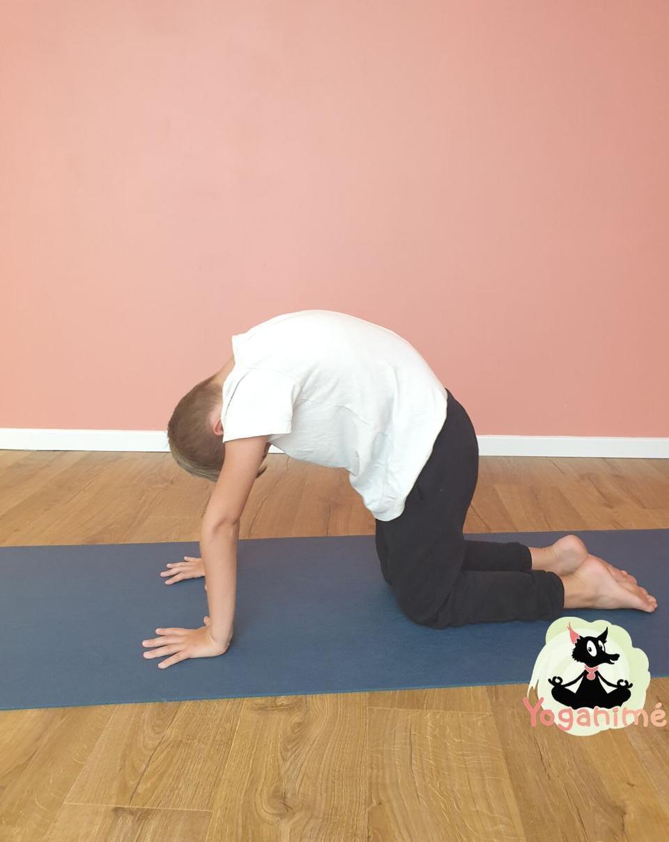 Un enfant fait du yoga et arrondi son dos